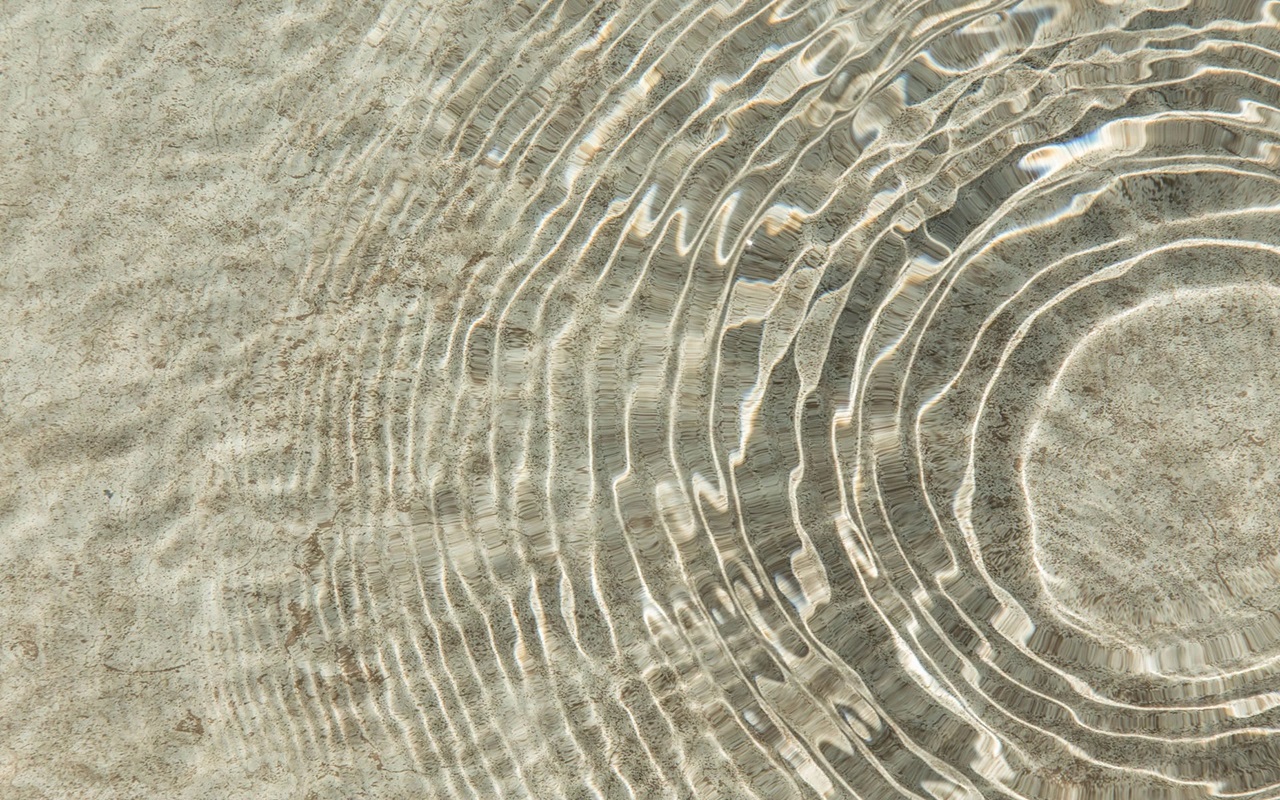 35517407 Folija Alkorplan Touch Sublime 1,65 m, rola 34,65 m2