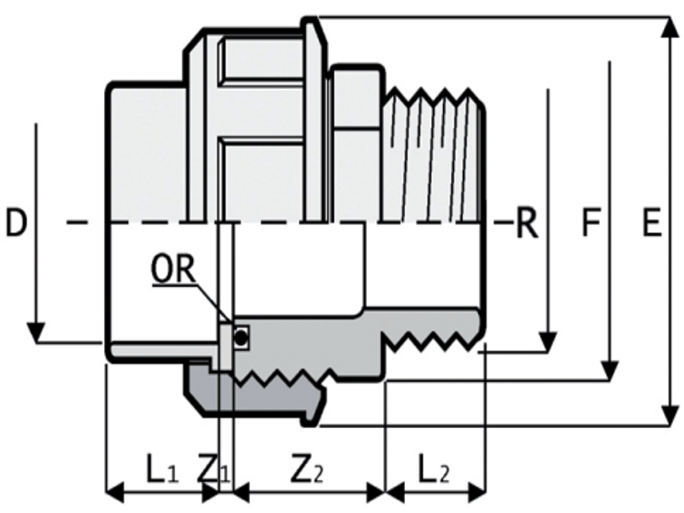 1RBM363G00 Holender D63x2''MN