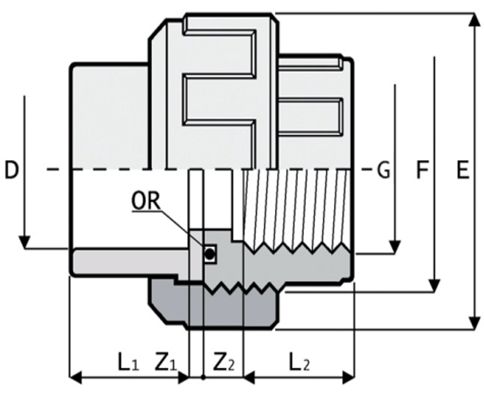 1RBO375H00L Holender D75x2 1/2'' ŽN